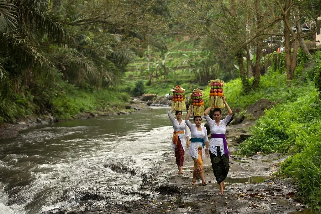 The Samaya Ubud 0*, Ubud (Bali)